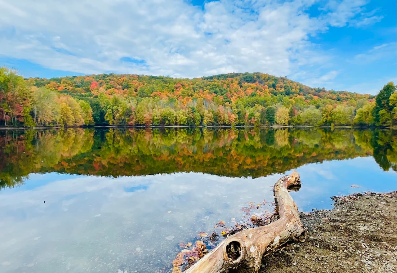 Thumbnail-For-Ramapo Valley County Reservation-Mahwah, NJ-By-Optsy Thumbnail-For-Ramapo Valley County Reservation-Mahwah, NJ-By-Optsy